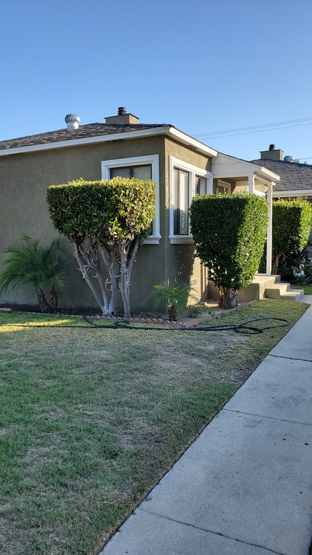 roommates in Lakewood Private Room in 2Bed.1Bath - cirtru.com